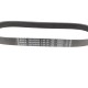 Ремінь генератора Citroen Berlingo/Fiat Ducato/Peugeot Boxer/Expert 1.9 D/TD 96-03 (6PK730)