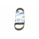 Ремінь генератора поліклиновий Peugeot Partner/307/508 02-/Citroen Berlingo/C2/C3/C4/C5 1.6 HDi 04- (6PK976)