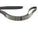 Ремінь генератора поліклиновий Peugeot 206/406/806/Expert/Fiat Scudo/Citroen C5/C8/Jumpy 1.9D/2.0HDI 95-