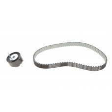 Комплект ГРМ Citroen C5 III/C6/Peugeot 407/607 2.7 HDi 04- (85x20)
