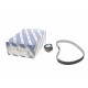Комплект ГРМ Citroen C5 III/C6/Peugeot 407/607 2.7 HDi 04- (85x20)