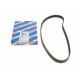 Ремінь ГРМ Ford Fiesta/Focus/Kuga/Mondeo/Mazda 2/Volvo S80/S60/V50/V70 1.4/1.6 95- (22x117z)