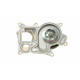 Помпа води BMW 3 (E90/F30)/5 (F10/F07)/X5 (F15) 2.0d 09- (B/B) (6 лоп) (N47/B47)
