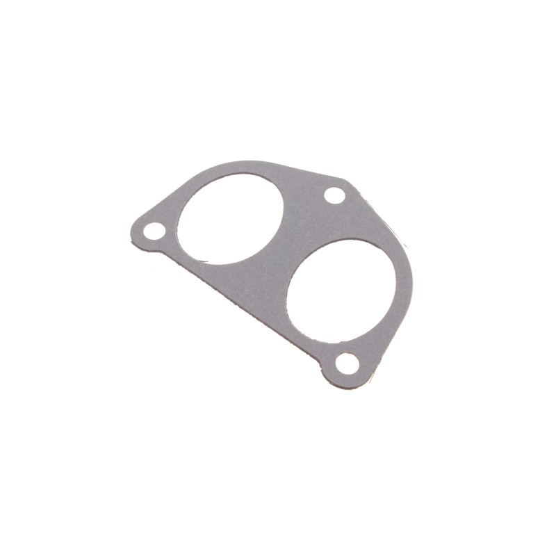 Прокладка колектора впускного Fiat Scudo/Peugeot Expert 1.9D 98-06 (к-кт)