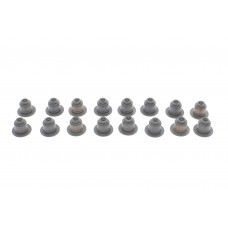Сальник клапана BMW X5/X6 4.4/4.8/5.0i 03- (к-кт), N63/N74/N40/N42/N45/N46/N62
