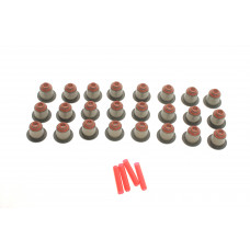 Сальник клапана (впуск/випуск) BMW X5 (E70)/X6 (E71/E72) 07-14 (к-кт) M57/N57
