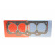 Прокладка ГБЦ Fiat Brava/Marea/Lancia Y 1.4 95-03 (1.20mm)