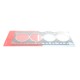 Прокладка ГБЦ Fiat Ducato/Peugeot Boxer 2.8 JTD/HDI/TDI (1.5mm)
