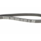 Ремінь генератора Citroen Jumper/Fiat Ducato 3.0HDi/D 06-