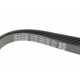 Ремінь генератора MB A-class (W168) 01-04/Vaneo 1.7CDI 02-05 (5PK1720)