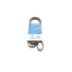 Ремінь генератора Renault Kangoo 1.4/1.6i, 97-
