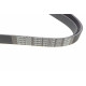 Ремінь генератора VW Caddy III/Fiat Scudo 1.4/1.4TSI 03-