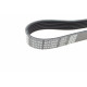 Ремінь генератора Jeep Grand Cherokee II 2.7 CRD 01-05
