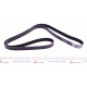 Ремінь генератора Land Rover/Toyota Land Cruiser 120 4.0i/4.6 94-