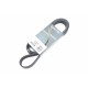 Ремінь генератора MB Vario/Atego 2/LK/LN 2 96- OM 904 (8PK1795)