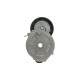 Натяжник ременя генератора Ford Mondeo IV/Peugeot 407 2.0TDCi/2.2 HDi 06-