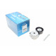 Натяжник ременя генератора Nissan X-Trail/Qashqai/Renault Clio/Fluence/Laguna III 2.0 16 V 07-