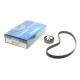 Комплект ГРМ Ford Connect 1.8TDCi 02- (20x91z)
