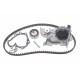 Комплект ГРМ + помпа Renault Kangoo 1.4/1.6i 97- (17x96z) (DP026)