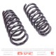 Комплект пружин (передніх) (Pro-Kit) BMW X6 (E71/E72) M 07-14 (2 шт.)
