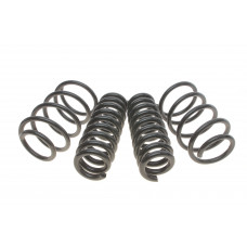 Комплект пружин (Pro-Kit) BMW X1 (E84) 09-15 (4 шт.) (для авт. без рег. дор. просвіту)