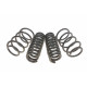 Комплект пружин (Pro-Kit) BMW X1 (E84) 09-15 (4 шт.) (для авт. без рег. дор. просвіту)