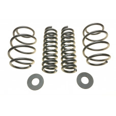 Комплект пружин (Pro-Kit) BMW 3 (F30/F80/F34/F31)/4 (F36) 2.0/3.0d 12-19(4 шт.)(N47/B47/N55/B58/N57)