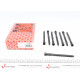 Болти головки (к-кт 8шт.) VW Passat 2.0i 01-05 (M10x132mm)