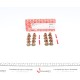 Сальник клапана (впуск/випуск) BMW 3(E90)/5(E39)/7(E38) 2.0D/3.9D 07-11 (к-кт 16шт)