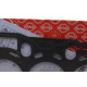 Прокладка ГБЦ BMW 1 (E81/E87)/3 (E90) 07-11 N43 B16 
