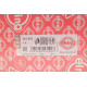Прокладка ГБЦ BMW 3/5 3.0 (M52/M54) 00-06
