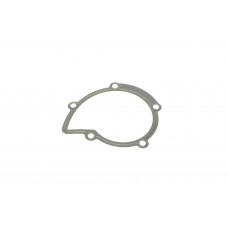 Прокладка помпи води Citroen Jumper/Jumpy/Peugeot Boxer/Expert 2.0/2.2 HDi 02-