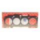 Прокладка ГБЦ VW Caddy 1.9TDI/SDI 95-04 (3 метки) (1.61mm)