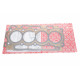 Прокладка ГБЦ Fiat Scudo/Jumpy/Peugeot Expert/Partner 1.6D/HDI 06- (1.25mm)