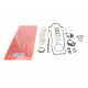 Комплект прокладок (верхній) Toyota Yaris 1.4 D-4D 01-05