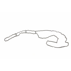 Прокладка кришки клапанів BMW 3 (E90)/5 (E60/F10) 07-13 N52/N53