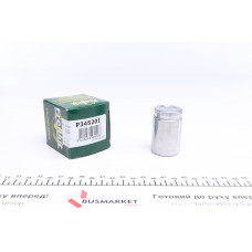 Поршень супорта (заднього) Renault Megane III/IV/Scenic 08- (34x52mm) (TRW)
