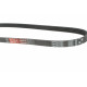 Ремінь генератора Fiat Ducato/Peugeot Boxer 2.2JTD/HDi 06-