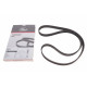 Ремінь ГРМ Opel Kadett E/Omega B/Vectra A/B/C 1.2-3.2 93-03