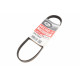 Ремінь генератора Ford C-Max/ Focus II-III/Volvo C30/S40 II/V50 1.8-2.0 03-