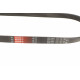 Ремінь генератора VW Caddy/Golf VIi-VIII/Passat B8/Tiguan/Touran 1.0-1.6 13-