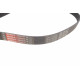 Ремінь генератора Citroen C3/C4/Peugeot 307 1.4-1.6HDi 02-