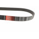 Ремінь генератора Citroen Jumper/Peugeot Boxer 2.0 94-/VW Caddy 1.4 04-