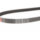 Ремінь генератора Citroen Jumper/Fiat Ducato/Peugeot Boxer 2.0/2.2HDi/JTD 02-