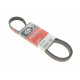 Ремінь генератора Ford Focus/Mazda 3/5/Volvo S40/V50/C30 1.8-2.4 03-