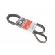 Ремінь генератора VW T4 2.5 90-03/Ford Fiesta/Mondeo 1.8/2.0 00-08/Jeep Grand Cherokee 4.7 01-08