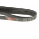 Ремінь генератора MB E-class (W124/W211) 02-08 104/M113/Land Rover Range Rover 5.0SCV8 13-