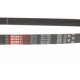 Ремінь генератора Ford Transit/Citroen Berlingo/Peugeot 308 1.6D 13-