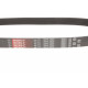 Ремінь генератора Citroen Jumper/Fiat Ducato 2.8HDi/JTD 00- (ALT,WP)