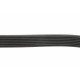 Ремінь генератора Toyota Land Cruiser Prado 3.0 D-4D 02-10